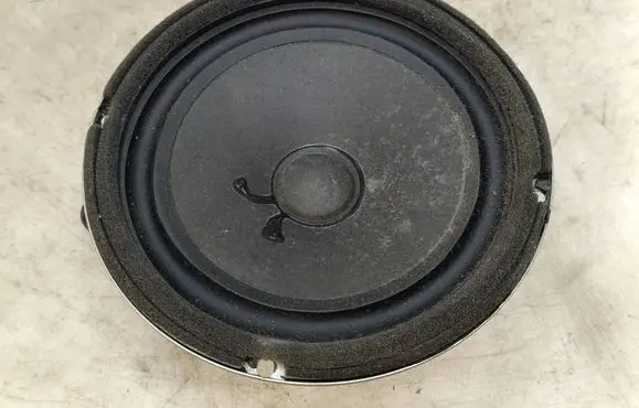 Hyundai Santa Fe Rear door speaker 963002B100