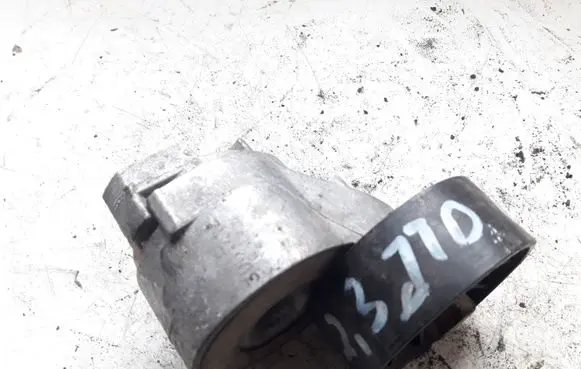 Fiat Ducato Generator/alternator belt tensioner 3001212
