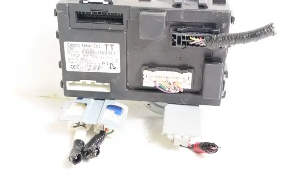 Nissan Leaf II (ZE1) Other control units/modules 116RAI000258 116RI000259