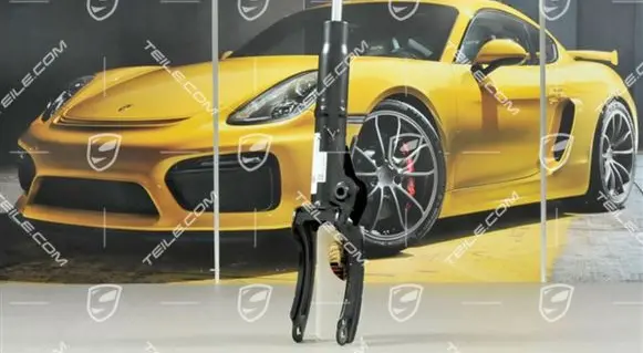 Porsche Cayenne (92A) Front shock absorber/damper 95834304411