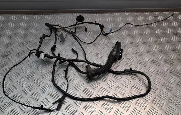 BMW X6 E71 Rear door wiring loom 9203116