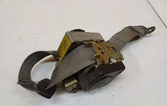 Volkswagen PASSAT B5 Rear seatbelt 193857737