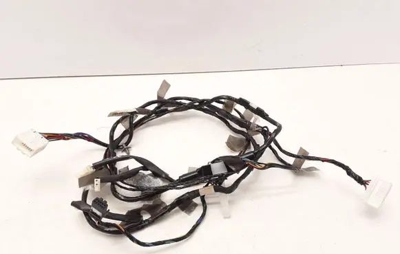 Nissan Titan Other wiring loom 241607S003