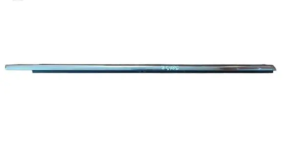 Ford Kuga II Front door glass trim molding CJ54S20562