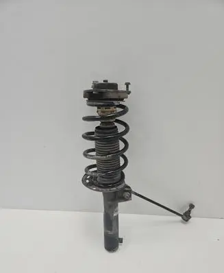 Volkswagen PASSAT B6 Front shock absorber with coil spring AGW057MT FCJ46