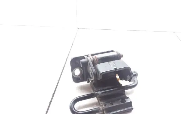 Audi A6 S6 C6 4F Rear door lower hinge