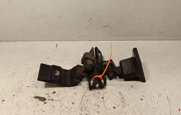 BMW X6 E71 Rear door hinge set 7180003 7160825