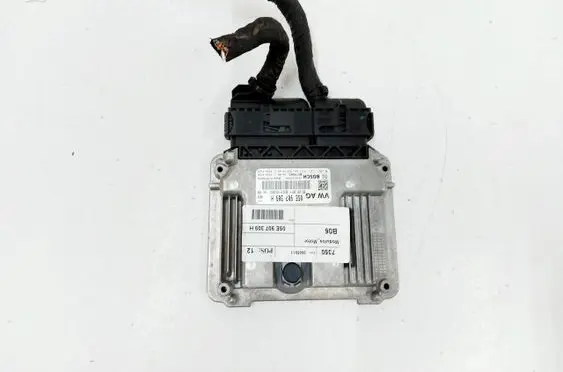 Engine control unit/module ECU