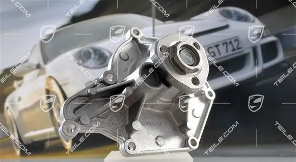 Porsche Cayenne (92A) Tandem pump 95810603321
