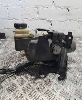 Renault Laguna III Power steering pump 491108342R