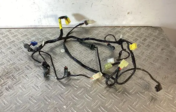 Tesla Model S Other wiring loom PLF181FPCAA01007