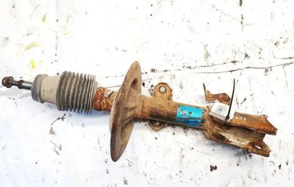 Chrysler Grand Voyager IV Front shock absorber/damper
