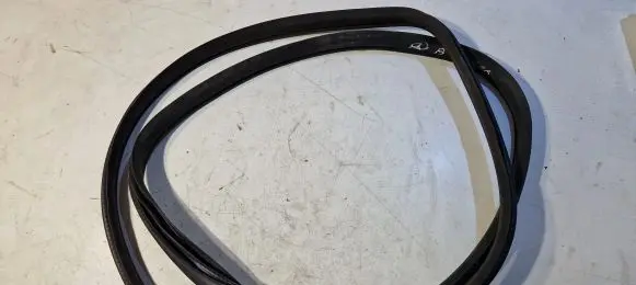 Mercedes-Benz B W245 Front door rubber seal
