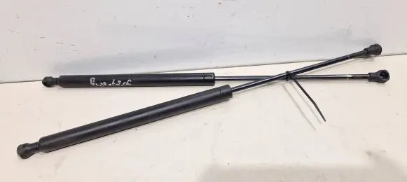 Peugeot 206 Tailgate/trunk strut/damper 9631441380