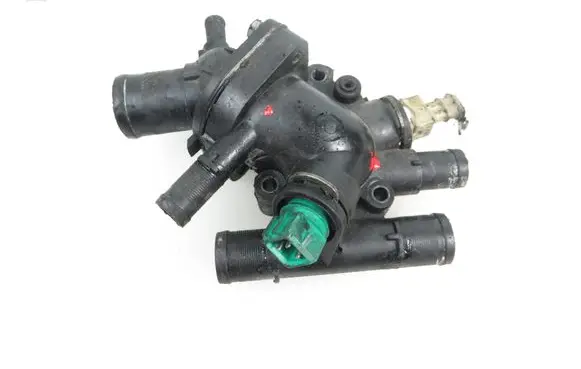 Thermostat/thermostat housing
