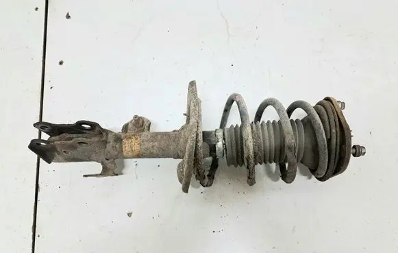 Front shock absorber with coil spring