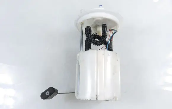 Fiat Punto (199) In-tank fuel pump 0581314137 55700352