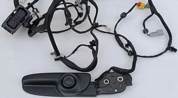 Other wiring loom