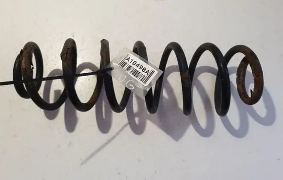 Rear coil spring