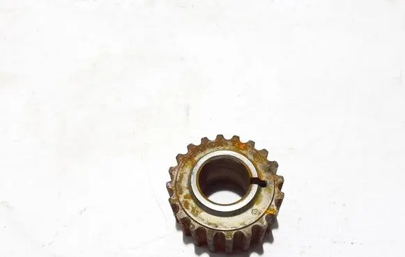 Renault Kangoo III Fuel pump gear (pulley) 130214280R