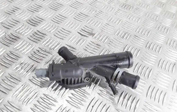 Thermostat/thermostat housing