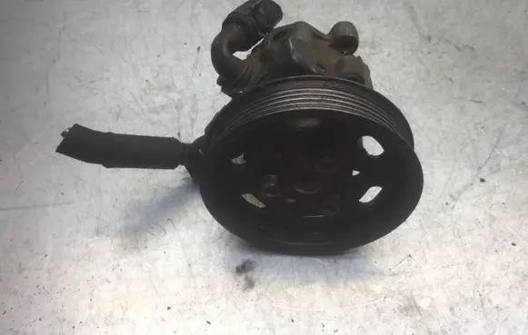 Volkswagen Golf IV Power steering pump 038145255A