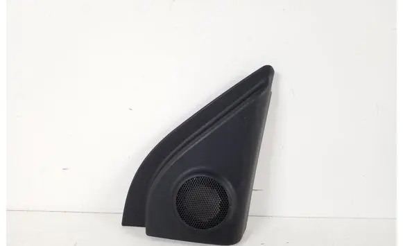 Toyota Urban Cruiser (XP110) Other front door trim element 67491-52160