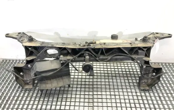 Renault Clio III Front bodywork piece 8200290143