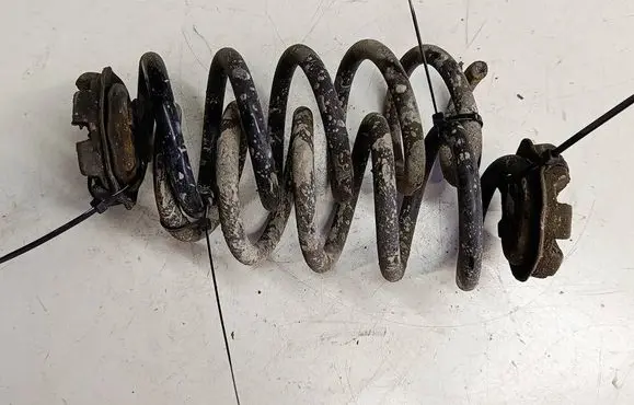 Renault Captur Rear coil spring AW5F14A7841584