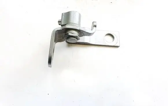 Rear door lower hinge