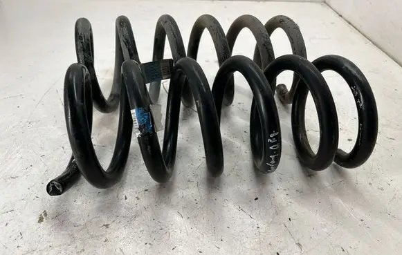 Ford Mustang VI Rear coil spring FR3C5560BE