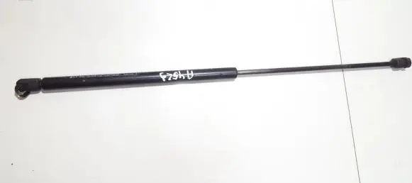 Renault Scenic I Tailgate/trunk strut/damper 0691666515N 069-1666515N