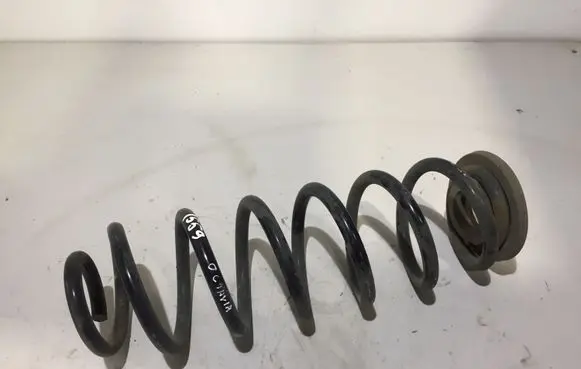 Skoda Octavia Mk2 (1Z) Rear coil spring