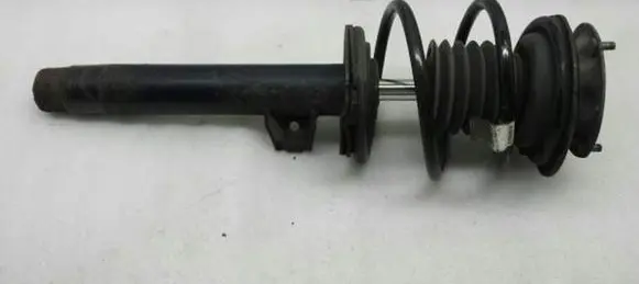 BMW Z4 E85 E86 Front shock absorber with coil spring 6761893