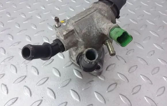Thermostat/thermostat housing
