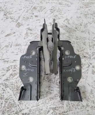 Jaguar I-Pace Engine bonnet/hood hinges j9d3-16800-ac