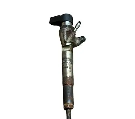 Nissan Juke I F15 Fuel injector H8201100113 166006212R