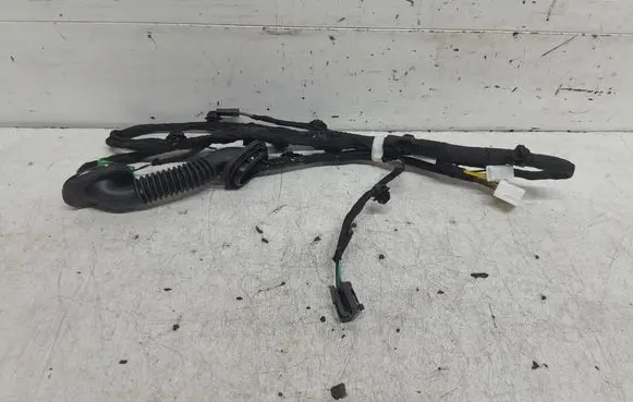 Volvo EX30 Other wiring loom 80001869