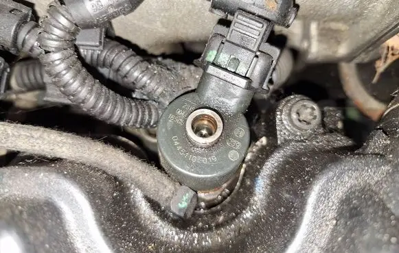 Fiat Punto (188) Fuel injector 0445110019