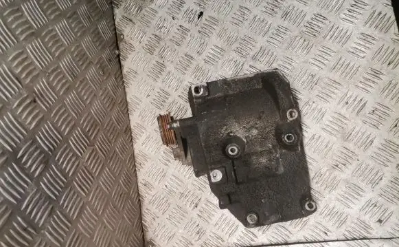 Volkswagen PASSAT B5.5 Generator/alternator bracket 