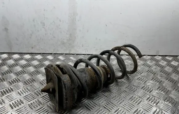 Rear coil spring