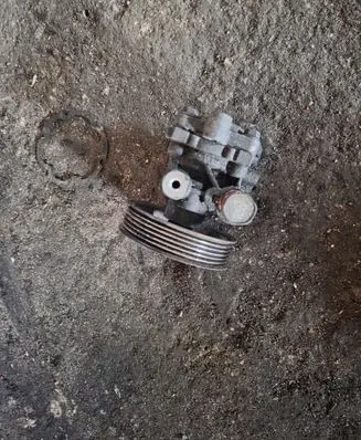 Mitsubishi Grandis Power steering pump