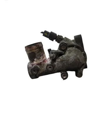 Thermostat/thermostat housing