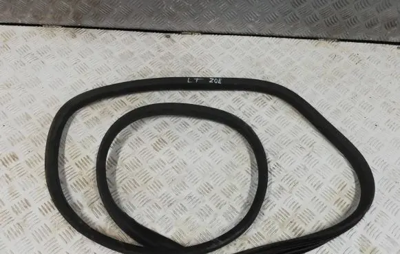 Renault Zoe Rubber seal rear door 