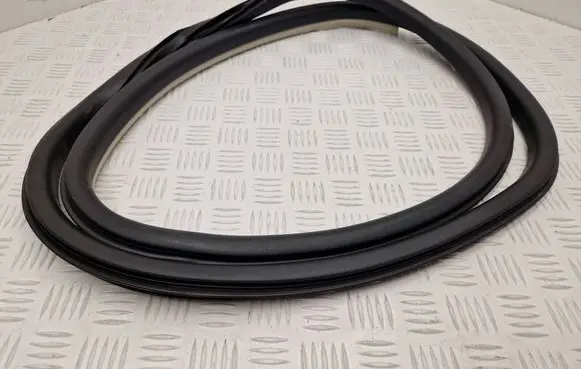 Renault Talisman Rear door rubber seal (on body) 