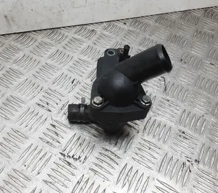 Thermostat/thermostat housing