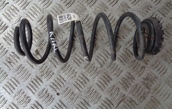 Rear coil spring