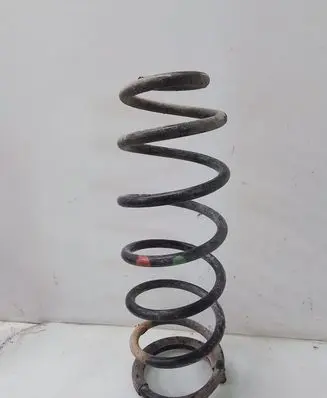 Rear coil spring