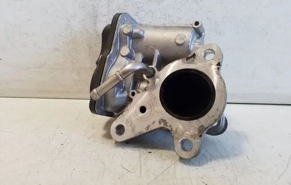 EGR valve