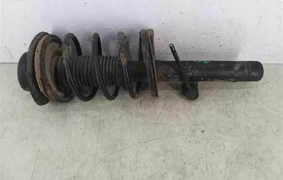 Peugeot 206 Front shock absorber with coil spring 